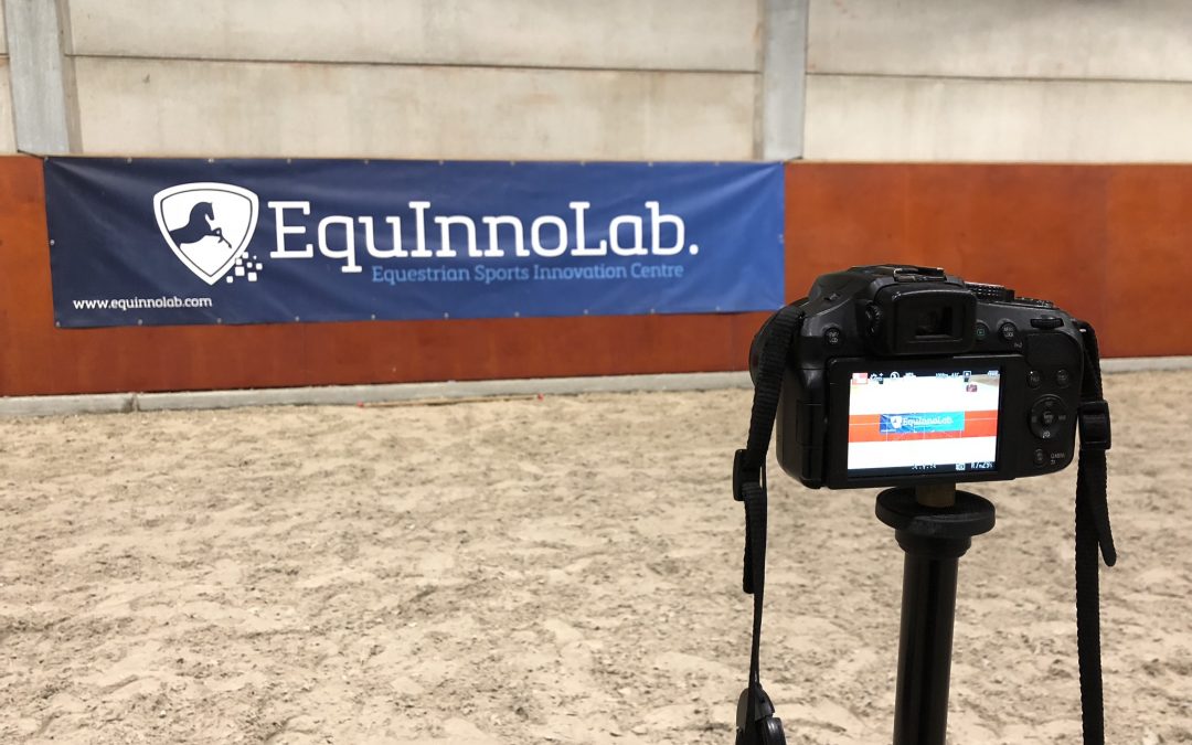 High Tech Video Analysis System Equestrian Sports