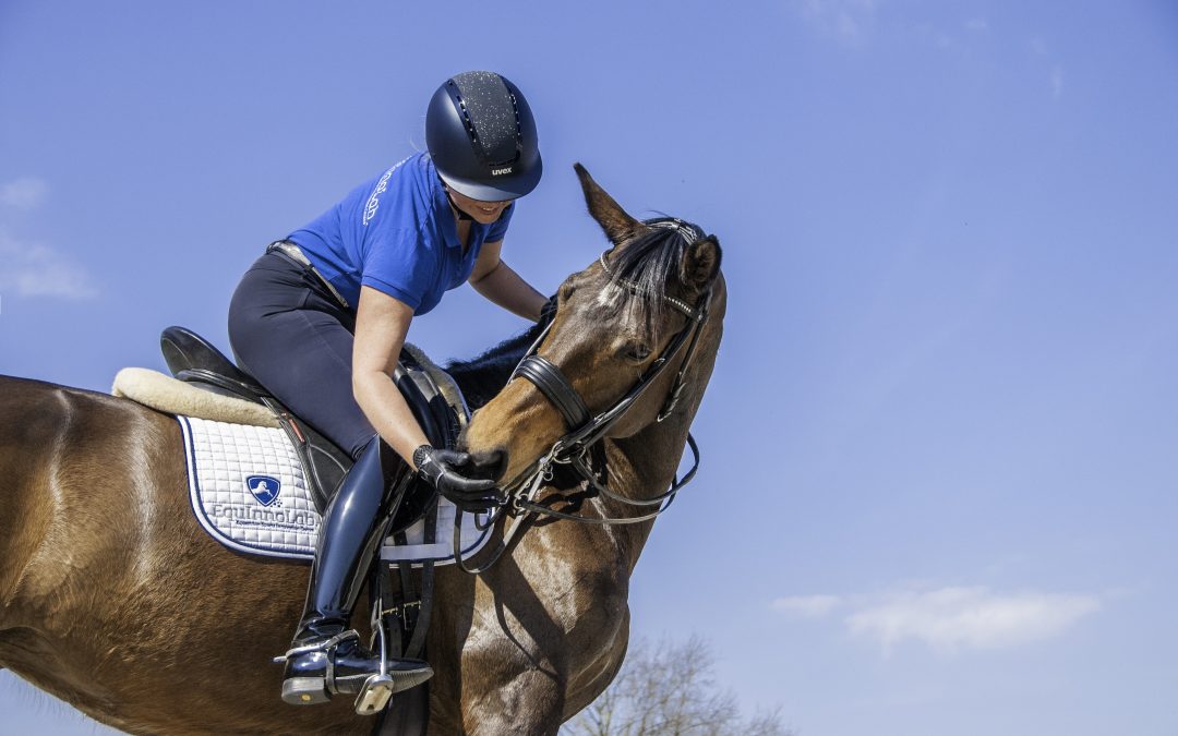 KNHS competition sport acceptance mark for bridles and bits